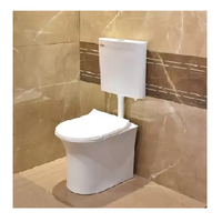 Siège de toilette en céramique couleur blanche, matériau en céramique Unique, siège de toilette indien en céramique, commode indienne occidentale