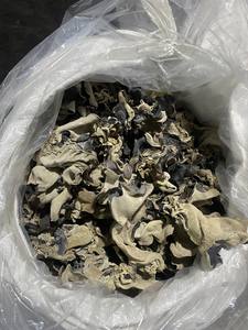 Hongo negro seco de grado superior, seta de oreja de madera, corte completo, picado, fabricante de Vietnam, Exportación al por mayor en todo el mundo - Product Image 5