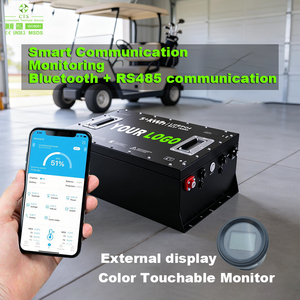 Baterai Golf Cart CTS High Energy 51.2V 105Ah 150Ah LiFePO4 Paket Baterai Lithium-ion - Product Image 6