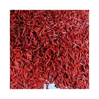 Produit cru transformé de piment rouge séché de haute qualité du Viet Nam aux meilleurs prix
