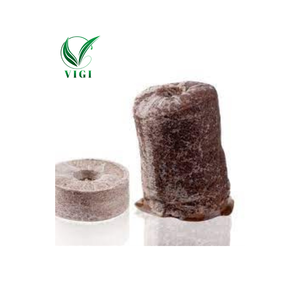 Pastilles de coco naturelles - Solution écologique pour la germination des graines - Product Image 1