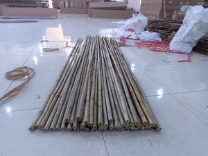 Bâtons et cannes ronds solides en bambou jaune durable, longueur 4 m, diamètre 0,01 m, marque GGN, modèle SR-BAMBOOVN - Product Image 6