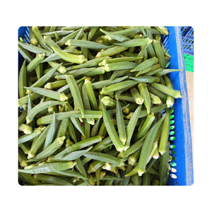 Okra congelada | Fresco y sabroso | Listo para cocinar | Origen de Vietnam - Product Image 6