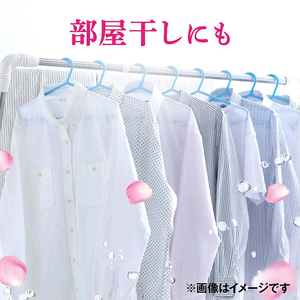 El más nuevo Japón hizo Bold Premium Blossom detergente líquido perfumado para ropa 22,6 oz (640g) - Product Image 5