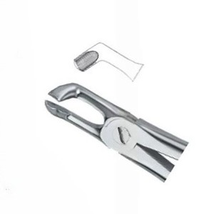 Pince à extraire les dents dentaires Fig79 A Top Meilleure qualité Produits avec logo personnalisé Instruments dentaires en acier inoxydable de haute qualité - Product Image 3
