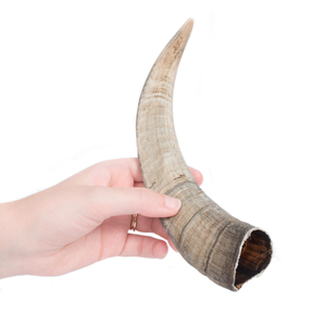 Cuerno de OAT de tamaño personalizado, artesanía natural - Product Image 4