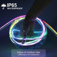 Комплект светодиодной ленты RGBIC DC24V Tuya с Wi-Fi управлением через приложение, синхронизацией с музыкой для декора дома, спальни, отеля