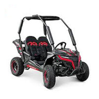 Nouveau Buggy de Course Électrique 4x4 Renli EEC5 500cc 2 Places 2020, Kart de Qualité Supérieure Grade A 110cc 1000W 40km/h avec Frein Hydraulique