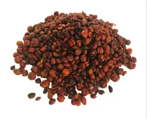 High Quality Natural Celastrus Paniculatus Seed Extract from India (THE ELITE HERBAL)