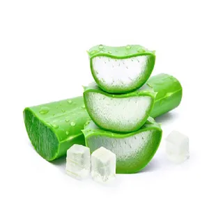 Dés d'aloe vera au sirop Meilleur Topping-Gelée d'aloe vera pour boire/manger à bon prix