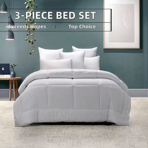 Luxury Winter Custom High Quality Solid Joyous Two-Layer Fleece Blankets Ultra Cozy Soft Fuzzy - Product Image 3