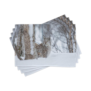 Napperons de table en vrac en coton écologique napperons de table brodés de conception personnalisée - Product Image 1