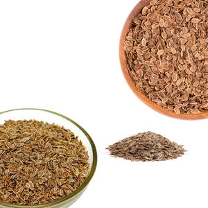 Eneldo | Hierba ideal para decapado y salsas - Product Image 2