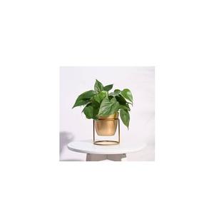 <b>Gold</b> Metal Indoor Home Garden Decorative <b>Planters</b> Best Quality Iron Flower Pots Hand Carved Eco-Friendly Traditional Modern - Product Image 2