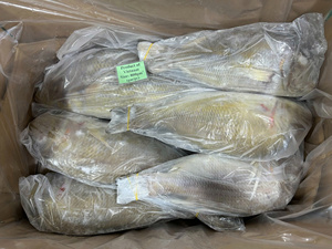 ปลาจักรพรรดิแช่แข็งทั้งตัวจากเวียดนาม iqf ส่งออกอาหารทะเลที่มีคุณภาพอายุ24เดือนขายส่งจำนวนมาก - Product Image 3