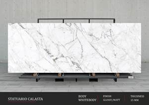 Baldosas de pared de porcelana mate elegante | Tamaño personalizado 1200x3200 800x2400 | Gran formato Durable Calidad de exportación - Product Image 2