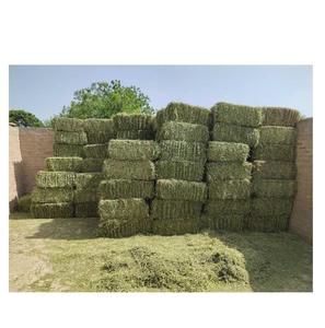 Pellets d'alfalfa et de luzerne bon marché à vendre, foin <span class=keywords><strong>déshydraté</strong></span> de haute qualité pour l'alimentation des volailles et des lapins, vente en gros en vrac, prix d'usine - Product Image 1