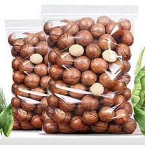 Noix de macadamia Nouvelle récolte Non-OGM Blanchies Haute qualité Séchées Collation saine avec antioxydants et fibres Prix de gros - Product Image 3