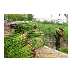 Storage water hyacinth basket <b>Foldable</b> woven water hyacinth basket with handles Beautiful water hyacinth basket for home - Product Image 4