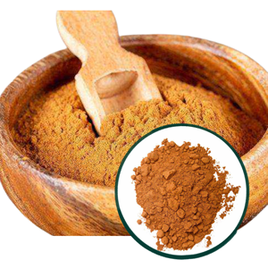 Poudre d'écorce de Cassia de qualité supérieure, prix abordable, fabriquée au Vietnam, en vente, emballée en boîte de 5 kg - Product Image 1