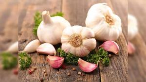 Ail frais de qualité supérieure, non-OGM et aromatique, pour la cuisine, l'assaisonnement et la transformation alimentaire, en provenance d'Inde - Product Image 6