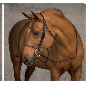 Belle bride anatomique pour dressage Rembourrage doux et produits pour chevaux confortables - Product Image 2