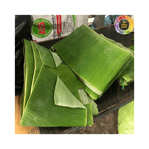 ใบกล้วยแช่แข็งสีเขียวสดออกแบบได้ตามต้องการสำหรับห่ออาหารและเสิร์ฟอาหาร - Product Image 5