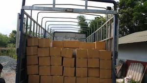 Les meilleurs produits de briques de coco de tourbe de noix de coco pour la meilleure croissance de semis de plantes au meilleur prix du fabricant du Vietnam - Product Image 4