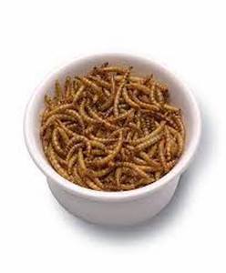 Vers de farine séchés Ver de farine séché Insecte comestible Ver de farine séché disponible - Product Image 1