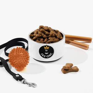 Comedero para Mascotas IKE-Conic 2 en 1 Ecológico XL, Diseño Sólido, Acero Inoxidable, Goma de Grado Alimenticio, Plegable, para Uso en Exteriores, para Gatos - Product Image 1