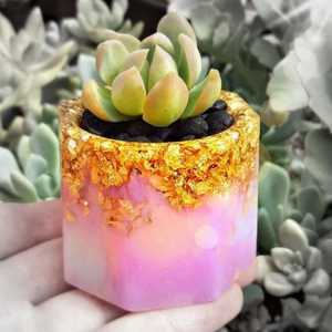 POTS DE FLEURS - Product Image 6