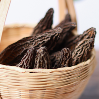 Champignons Morel Naturels Sauvages Biologiques Aliment Sain Champignons Noirs Séchés