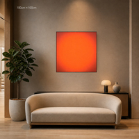 Lumière LED Coucher de Soleil et Lever de Soleil pour Hall d'Hôtel, Prête à l'Expédition, Art Mural Commercial pour Chambre d'Hôtel, Style Boutique