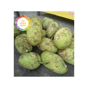 FRUTA DE PAN CONGELADA IQF DE VIETNAM 100 POR CIENTO FRUTA NATURAL DE ALTA NUTRICIÓN PARA EXPORTACIÓN AL POR MAYOR Y SUMINISTRO A GRANEL - Product Image 1