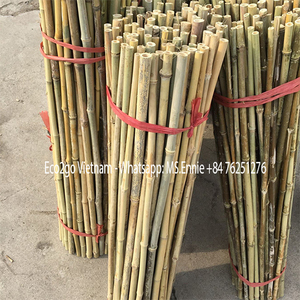 Estacas de bambú natural/Estacas de bambú para plantas/Estacas de jardín de bambú Buen precio por ECO2GO VIETNAM - Product Image 6