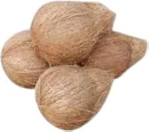 批发优质半壳成熟椰子散装/顶级批发半壳成熟椰子出售 - Product Image 5