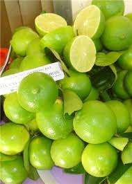 LIMÓN VERDE FRESCO SIN SEMILLAS DE VIETNAM-Precio razonable de alta calidad 2023 /Mr. CC - Product Image 5