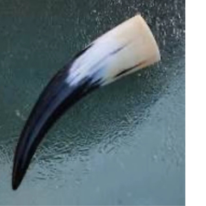 Corne à boire naturelle Viking de haute qualité polie écologique en corne de buffle Design animal - Product Image 1