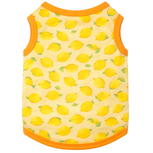 Chaleco Refrigerante para Perros, Camiseta Refrigerante para Mascotas de Verano, Transpirable, Ligera, de Tela Helada, Chaleco para Aliviar el Calor - Product Image 5