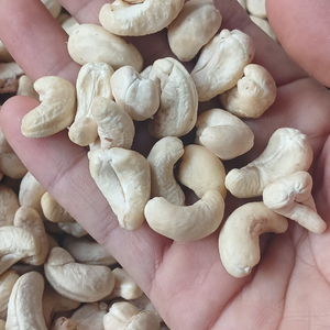 Noix de Cajou Premium Traitées SANTIGO Livraison Gratuite Noix de Cajou Toutes Tailles ISO, HACCP Noyaux de Cajou Bruts - Product Image 1