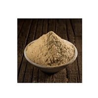 Poudre d'Asafoetida pure haute en vente pour l'amélioration de la saveur Cuisine végétalienne et remèdes à base de plantes d'Inde