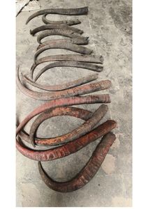 Punta de Cuerno de Búfalo Natural - Diseño Moderno Hecho a Mano Ecológico, Tamaño y Forma Personalizados, Color Natural para Decoraciones de Bodas y Festividades - Product Image 3