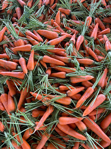 Carotte Carotte Bio Fraîche de Haute Qualité Délicieuse et Croquante avec Fiable au Meilleur Prix - Product Image 4