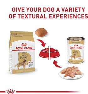 Royal Canin Breed Health Golden Retriever Nourriture sèche pour chien adulte sac de 30 lb Nourriture pour chien en conserve 13.5 oz boîte (12 unités) - Product Image 3