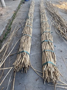 วัสดุเสาหวาย-เสาหวายสำหรับทำสายรัดหวาย - Product Image 6