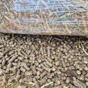 Bolitas de madera de biomasa asequibles al por mayor, alta producción de calor, tamaño consistente y baja ceniza, perfectas para las necesidades de calefacción durante todo el año - Product Image 2