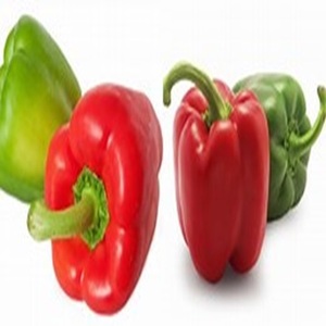 Pimiento de pimiento verde de grado agrícola a la venta a precio de granja - Product Image 3