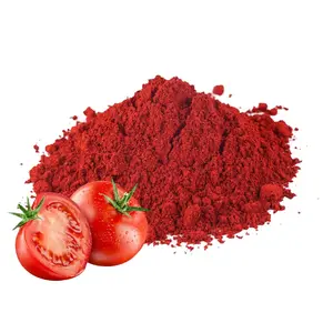有機ナチュラルトマトパウダー: 100% 純粋な野菜パウダーを卸売価格で