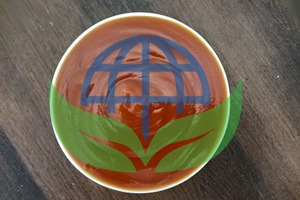Puré de Pulpa de Papaya Roja HP Valia Premium, 100% Natural, Envasado Aséptico en Lata/Botella, Envase a Granel, 24 Meses de Vida Útil, Certificado ISO, India - Product Image 6