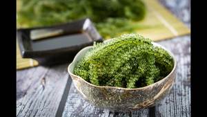 Sea Grape export oriented <b>bulk</b> supply backed by factory operations ensuring quality Sea Grape - Product Image 5